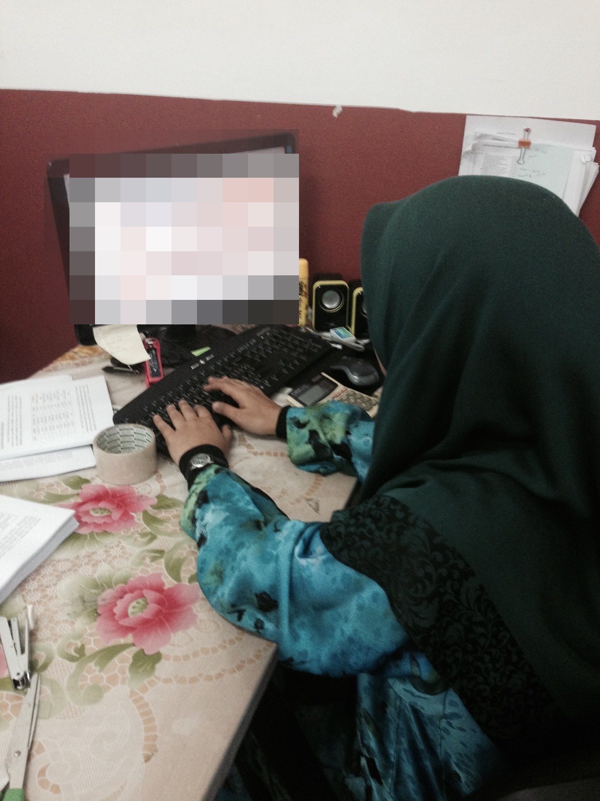 Pengguna SKY Online